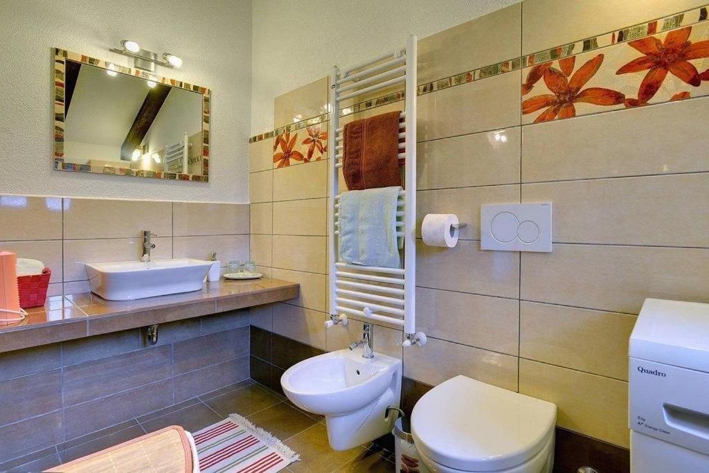 Žminj Casa Karnevali 빌라 외부 사진